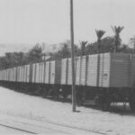 Vagones en puerto de Almería 1951 (ASAFAL)